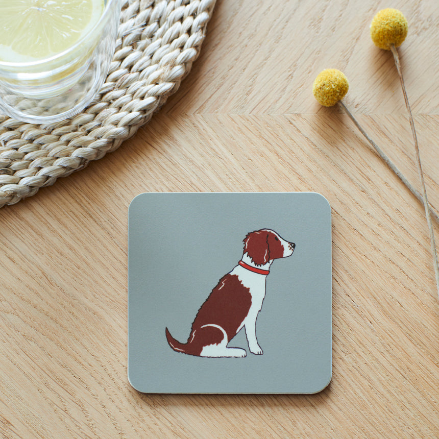 Sweet William Coaster, Springer Spaniel Liver & White
