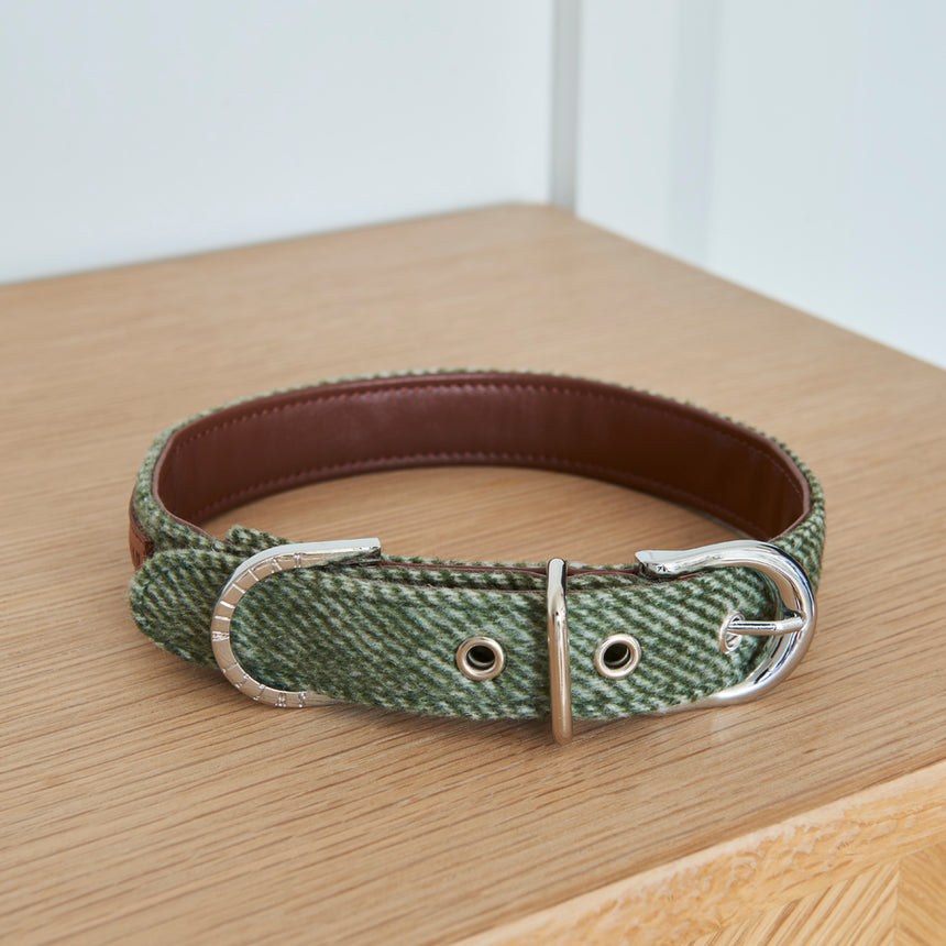 Sweet William Tweed Dog Collar, Green