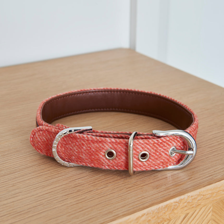 Sweet William Tweed Dog Collar, Orange