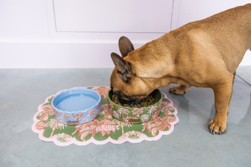 Eleanor Bowmer Pet Placemat, Sunset Palms