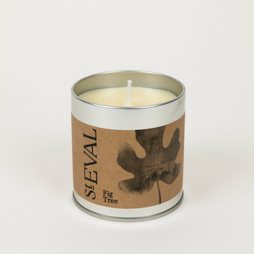 St Eval Fig Tree  Scented Tin Candle