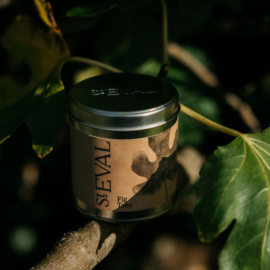 St Eval Fig Tree  Scented Tin Candle
