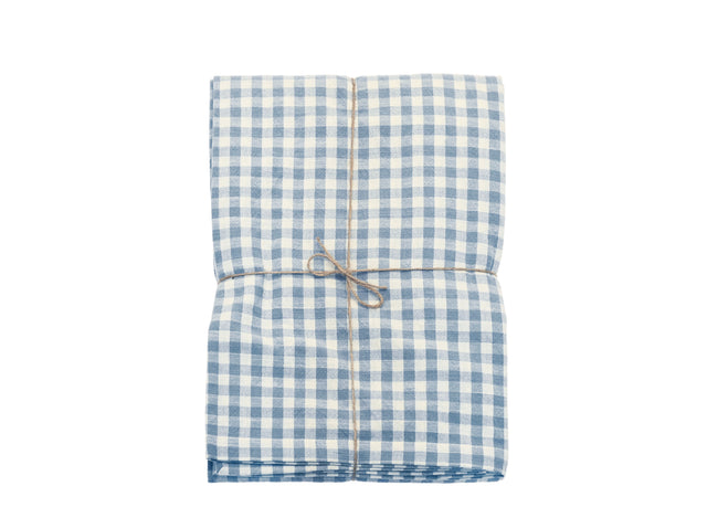 Blue and white checkered fabric tablecloth  with twine on a white background