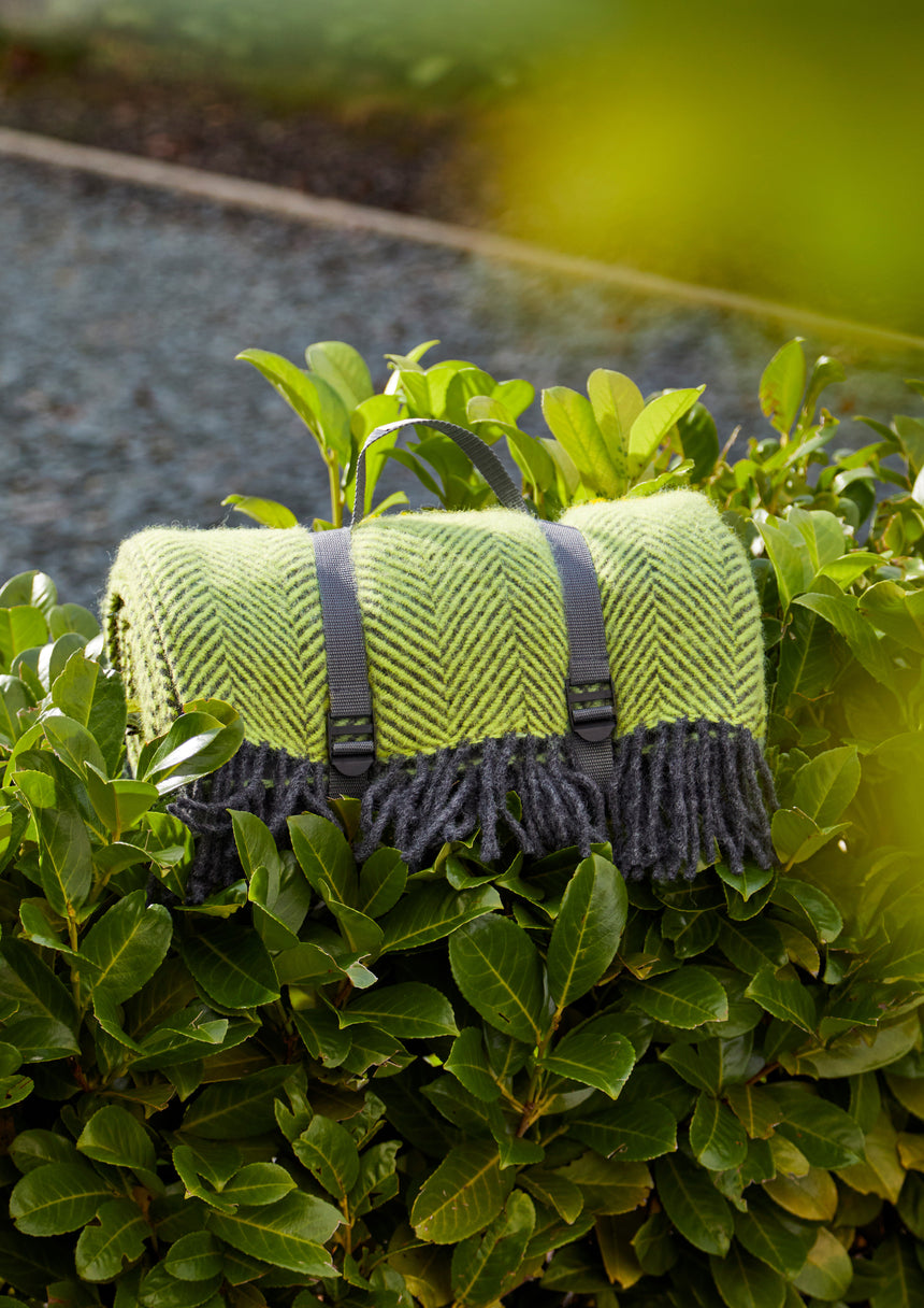 Tweedmill Polo Pure Wool Knitted Picnic Blanket, Herringbone Zest