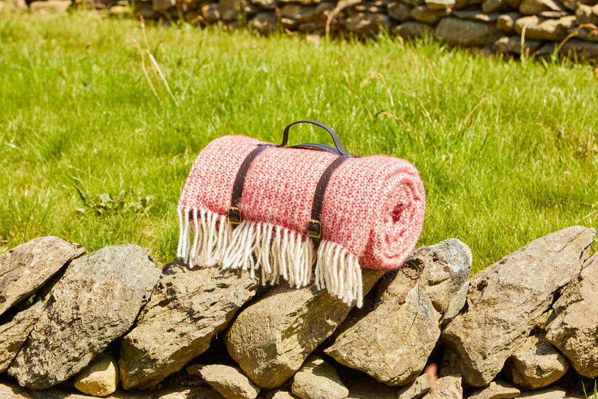 Tweedmill Polo Picnic Rug, lllusion Red & Silver