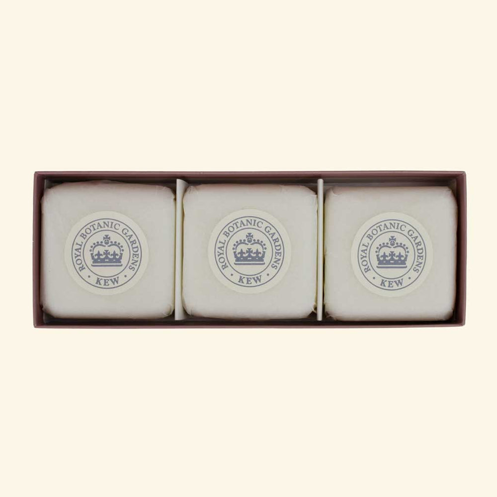 The English Soap Company Kew Gardens, Magnolia & Pear Triple Soap Gift Box