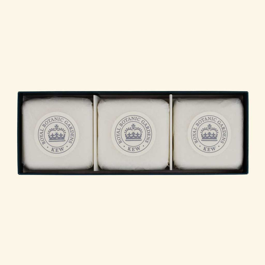 The English Soap Company Kew Gardens, Jasmine Peach Triple Soap Gift Box