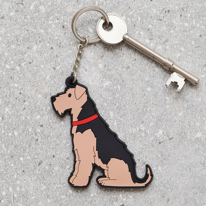 Sweet William Welsh Terrier Keyring
