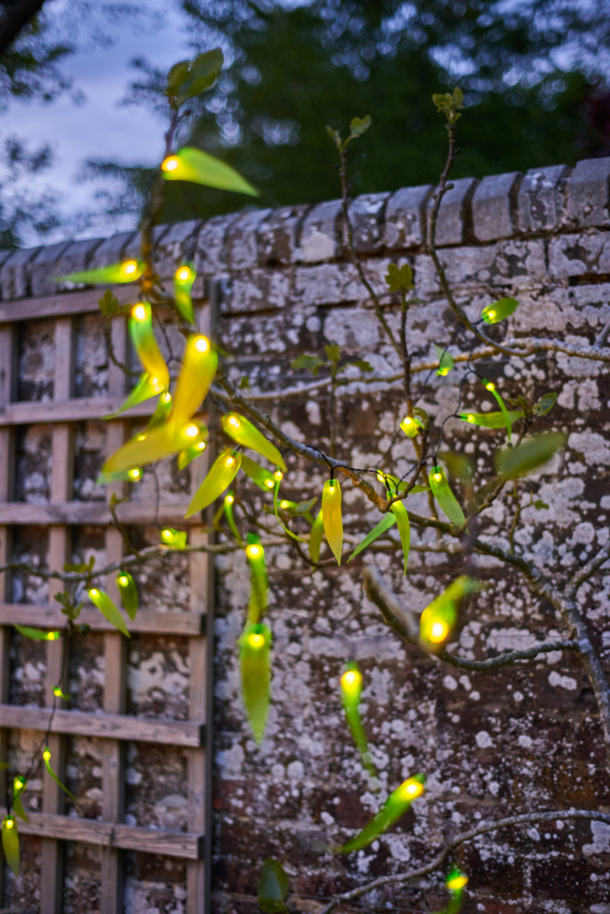 Solar powered Leaf Fantasy LED Fairy light