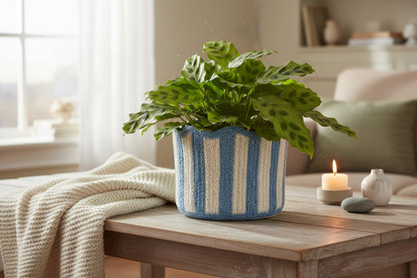 Knitted basket with blue and white striped pattern on a white background