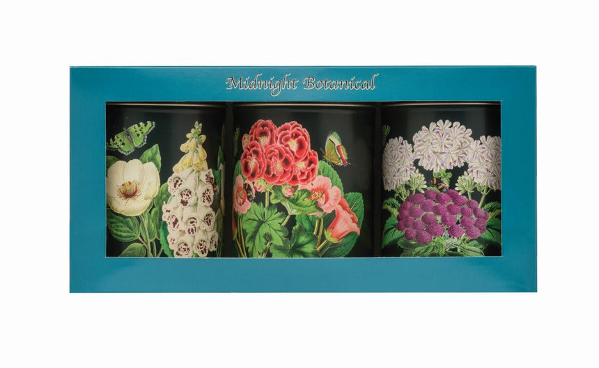 Madame Treacle Midnight Botanical Storage Canisters,(Set Of 3)