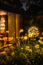 A garden scene at night with glowing dandelion-style lights among tall grasses in front of a lit building with large glass windows.