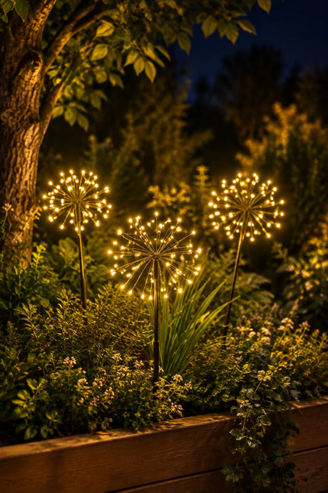 Three dandelion-shaped garden string lights glowing at night in a planter box on outdoor next to a tree &  plants 