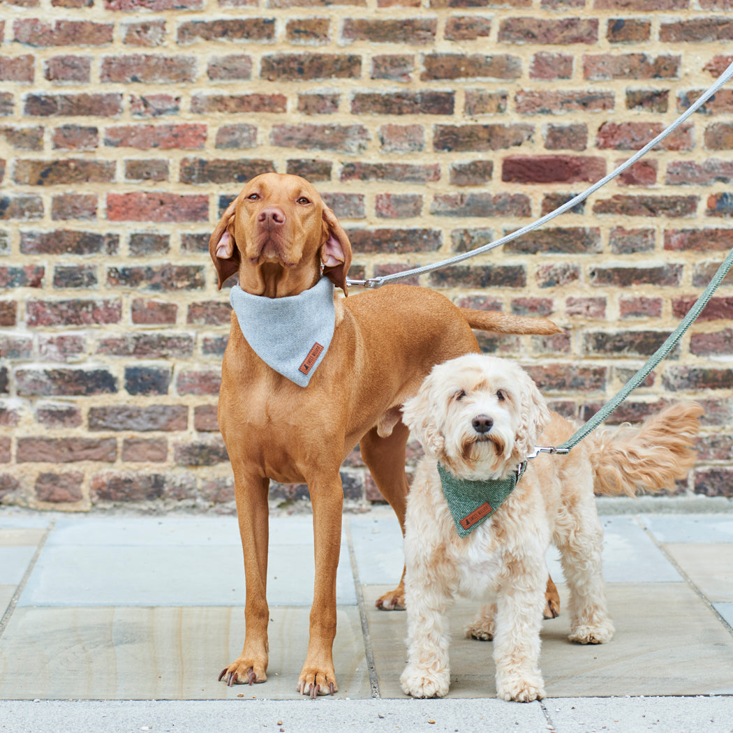 Sweet William Tweed Dog Lead, Green