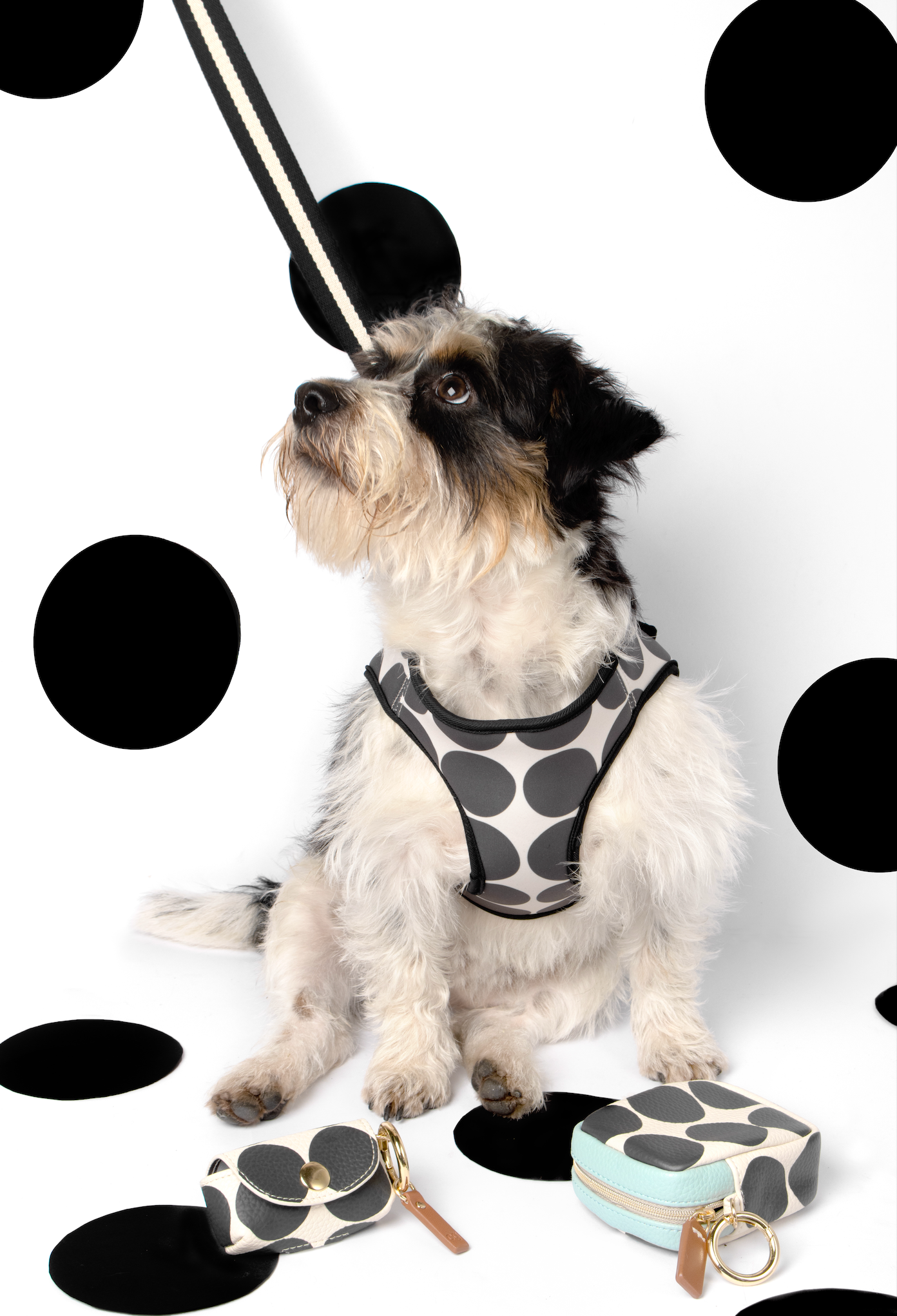 Caroline Gardner Dog Harness, Mono Spots