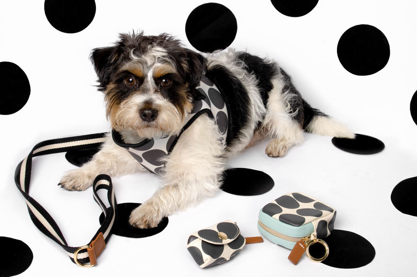 Caroline Gardner Dog Treat Holder, Mono Spots