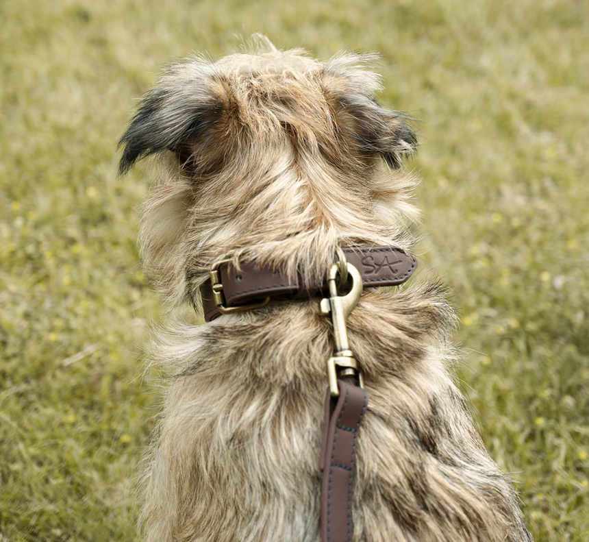 Sophie Allport Leather Dog Lead, Woof