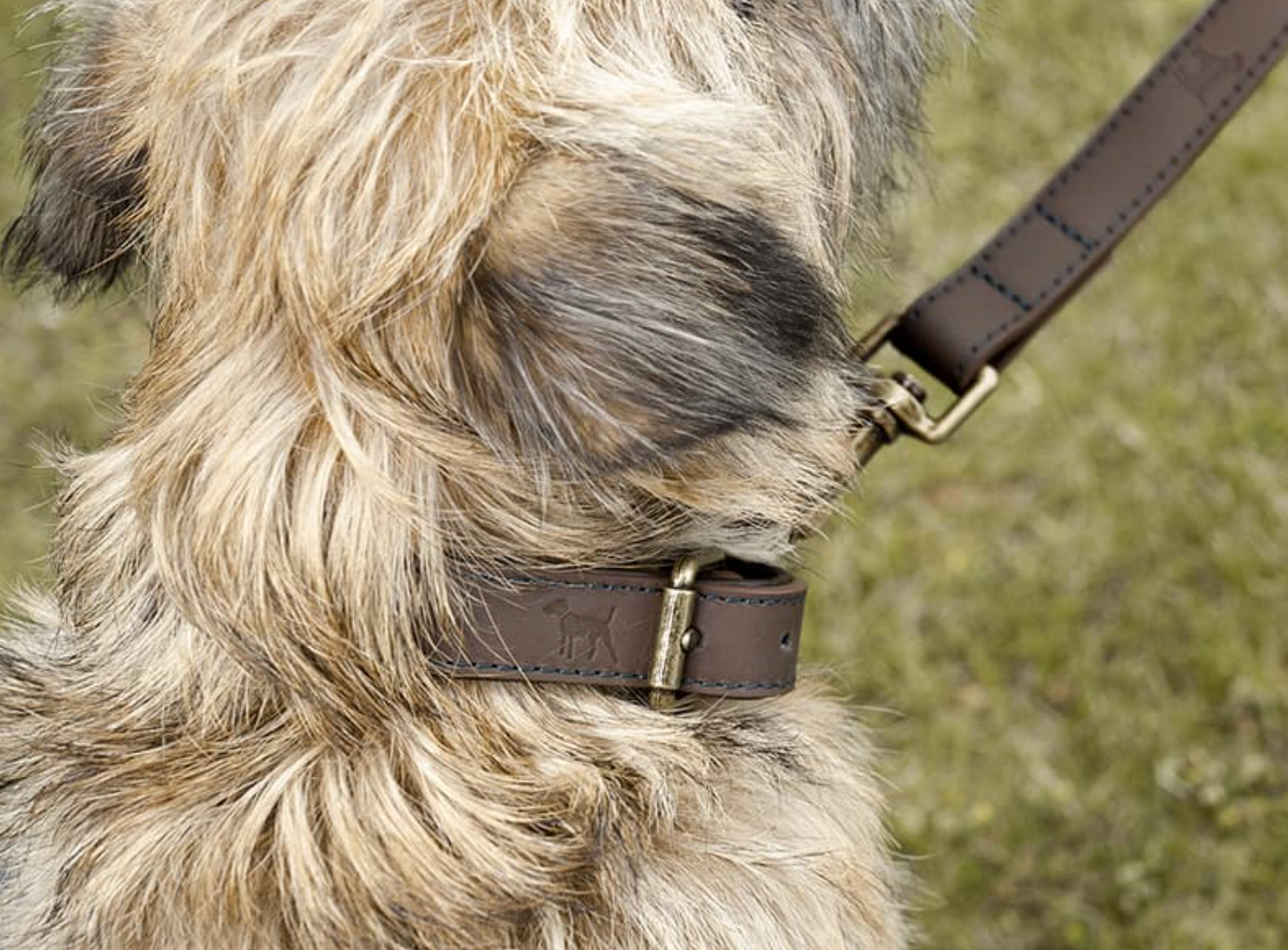 Sophie Allport Leather Dog Collar, Woof
