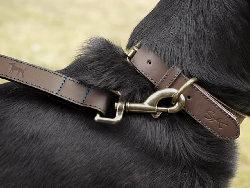 Sophie Allport Leather Dog Collar, Woof