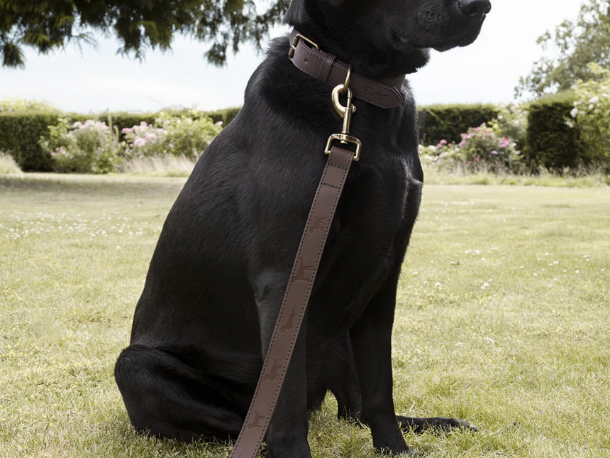 Sophie Allport Leather Dog Collar, Woof