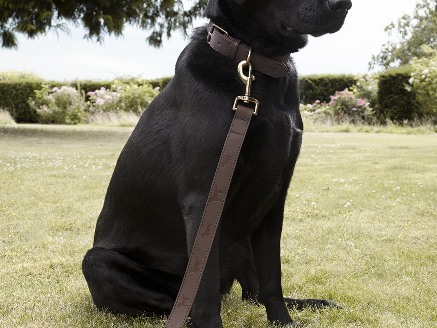 Sophie Allport Leather Dog Lead, Woof
