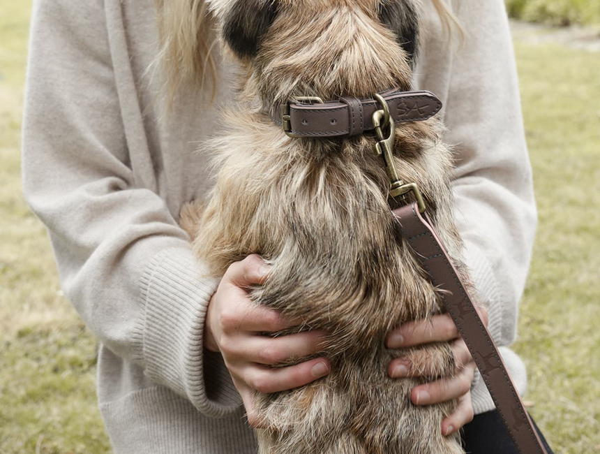 Sophie Allport Leather Dog Collar, Woof