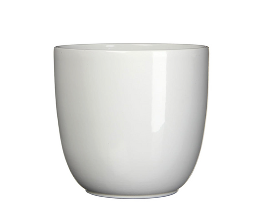 Siena Ceramic Plant Pot, White