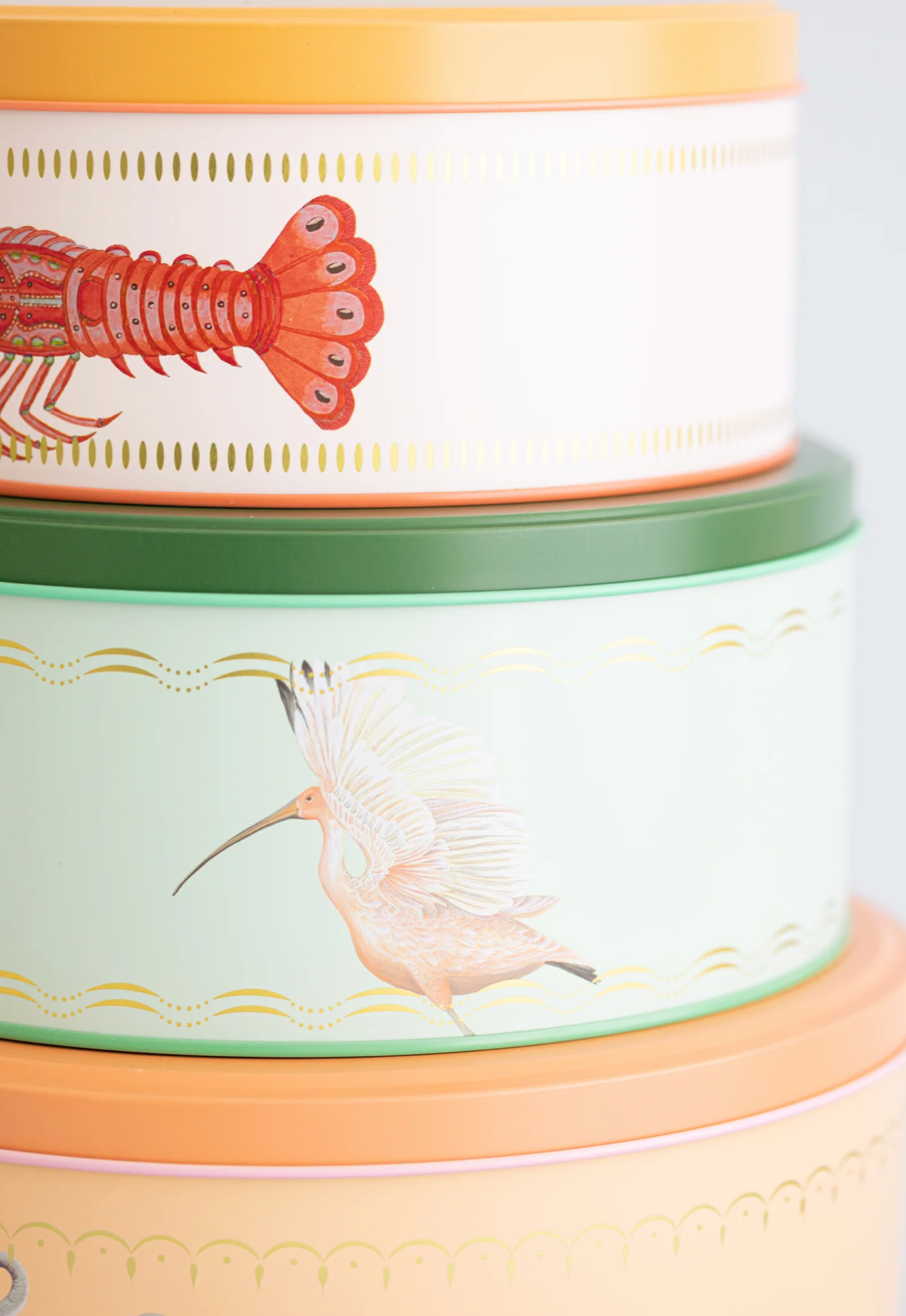 Yvonne Ellen Round Cake Tins (Set Of 3)