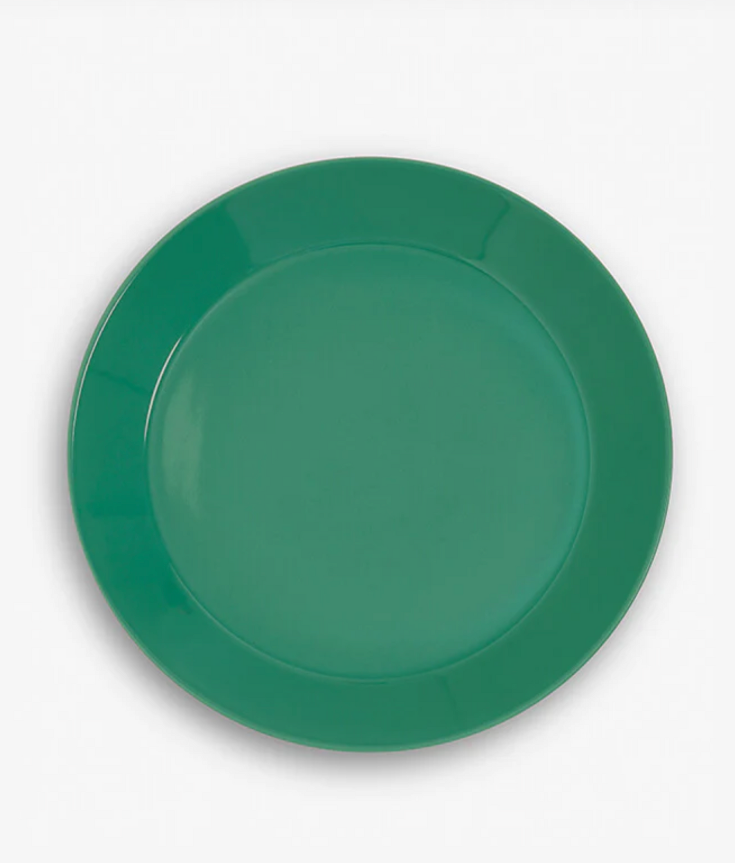 Sur La Table Colour Me Happy Dinner Plate, Green