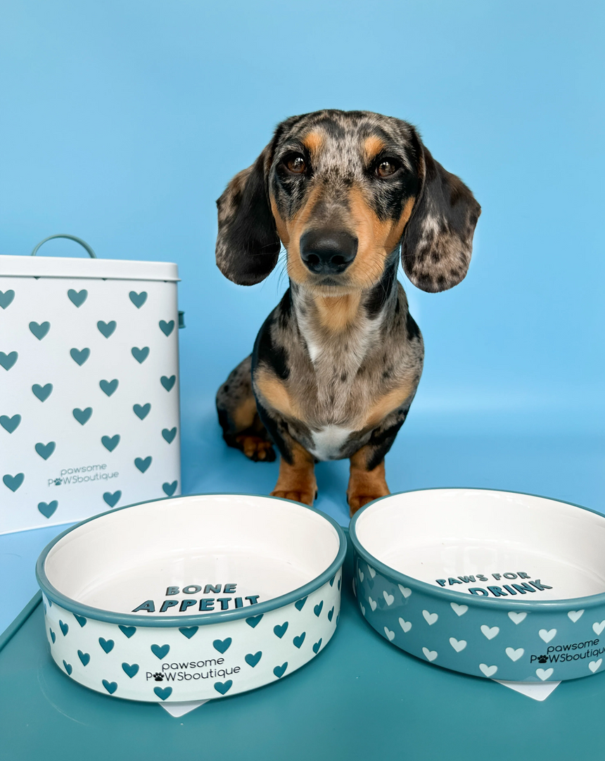 Pawsome Boutique Ceramic Pet Bowl, Hearts (Set Of 2)