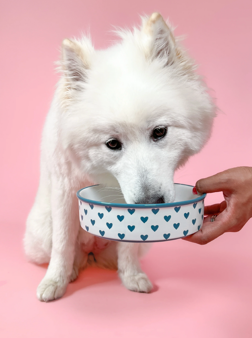 Pawsome Boutique Ceramic Pet Bowl, Hearts (Set Of 2)