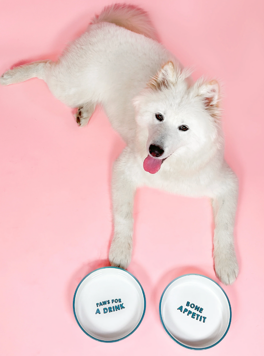 Pawsome Boutique Ceramic Pet Bowl, Hearts (Set Of 2)