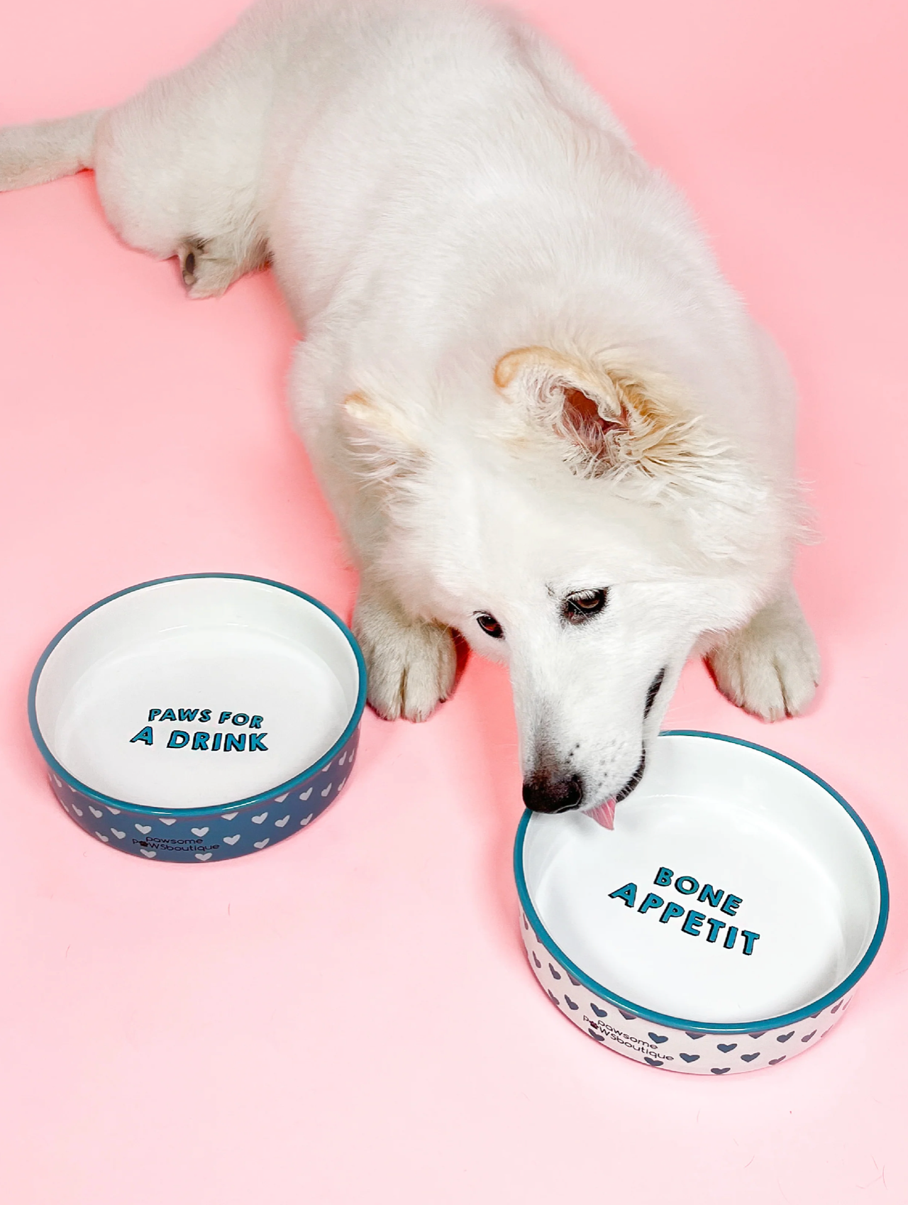 Pawsome Boutique Ceramic Pet Bowl, Hearts (Set Of 2)