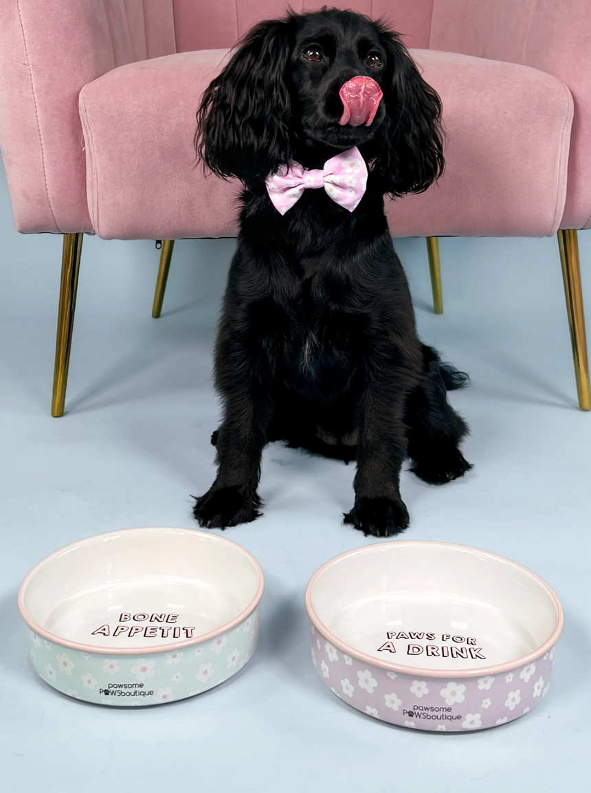 Pawsome Boutique Ceramic Pet Bowl, Flowers (Set Of 2)