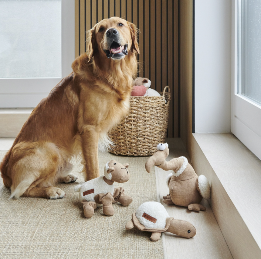 Sweet William Dog Toy, Woolliam The Lamb