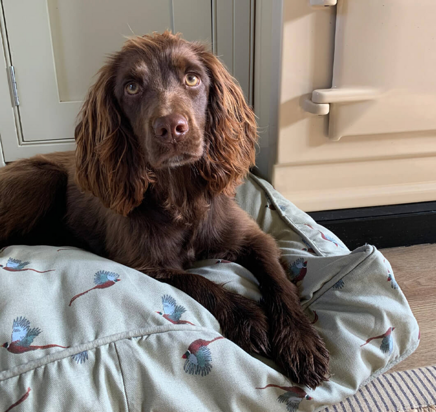 Sophie Allport Pet Mattress, Pheasant