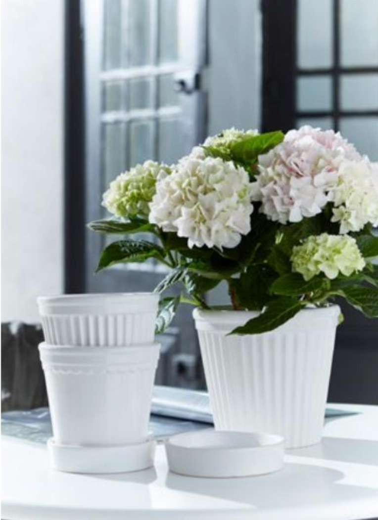 Wikholm Estrid Ceramic Plant Pot, White