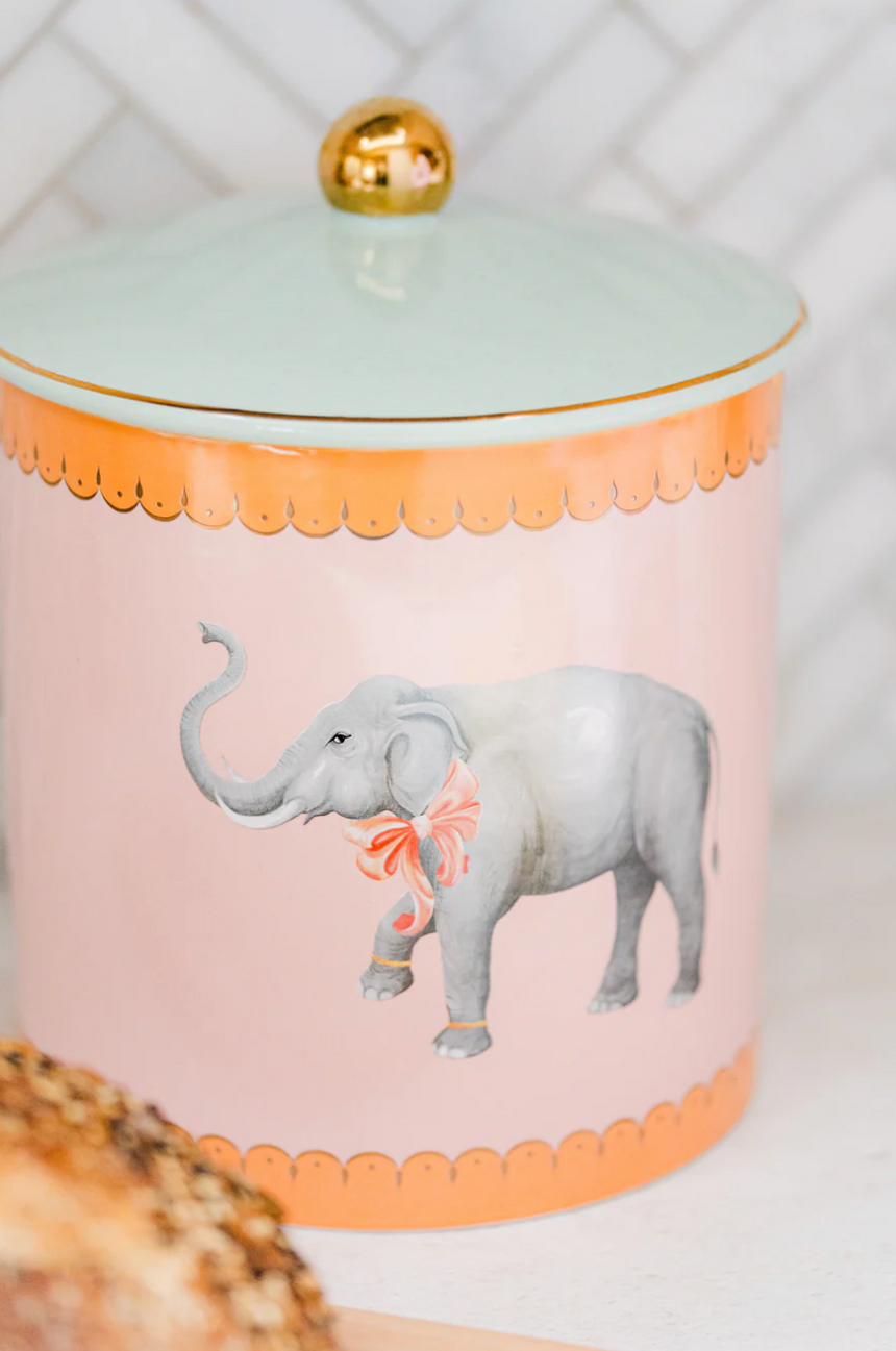 Yvonne Ellen Fine China Biscuit Jar