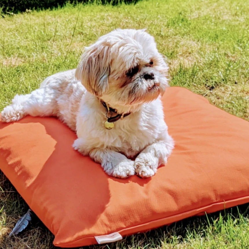 Pooch & Paws Canvas Dog Bed, Orange