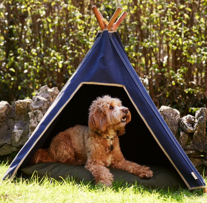 Pooch & Paws Handmade Dog Teepee, Navy Blue