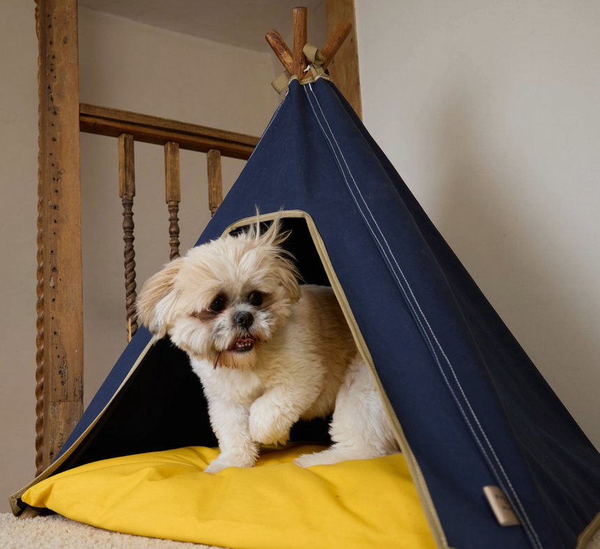 Pooch & Paws Handmade Dog Teepee, Navy Blue