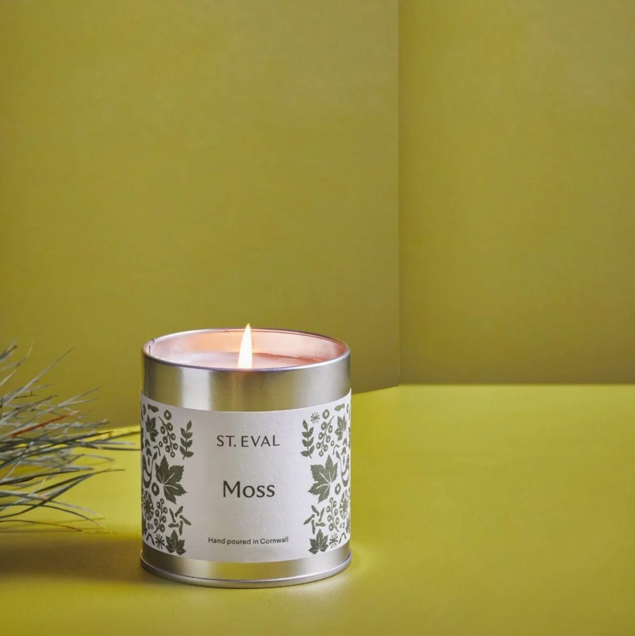 St Eval Moss Scented Tin Candle