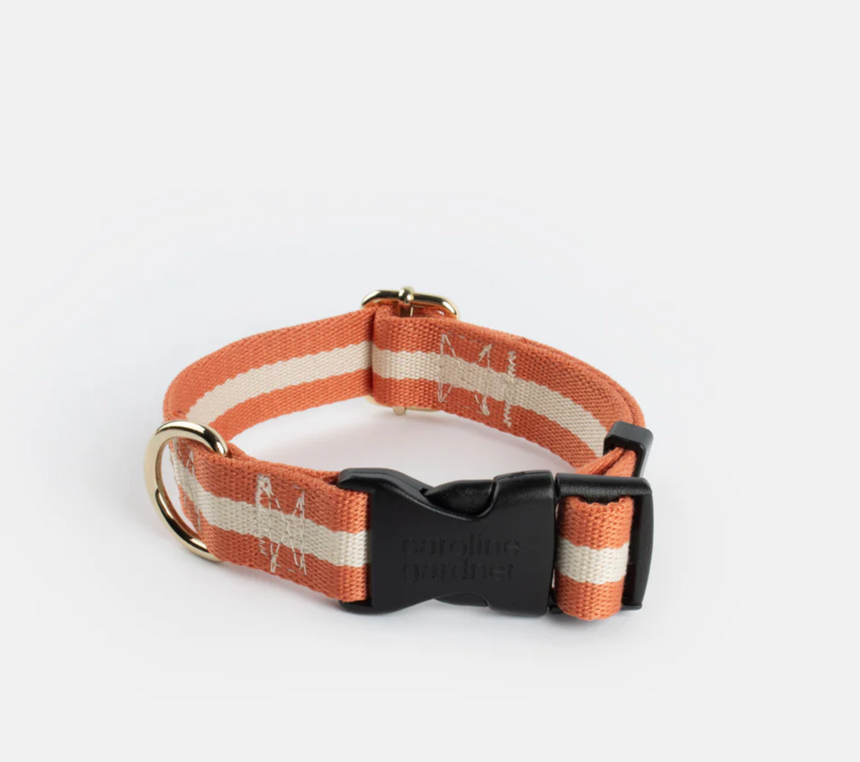 Caroline Gardner Cotton Dog Collar, Orange & Cream Stripes