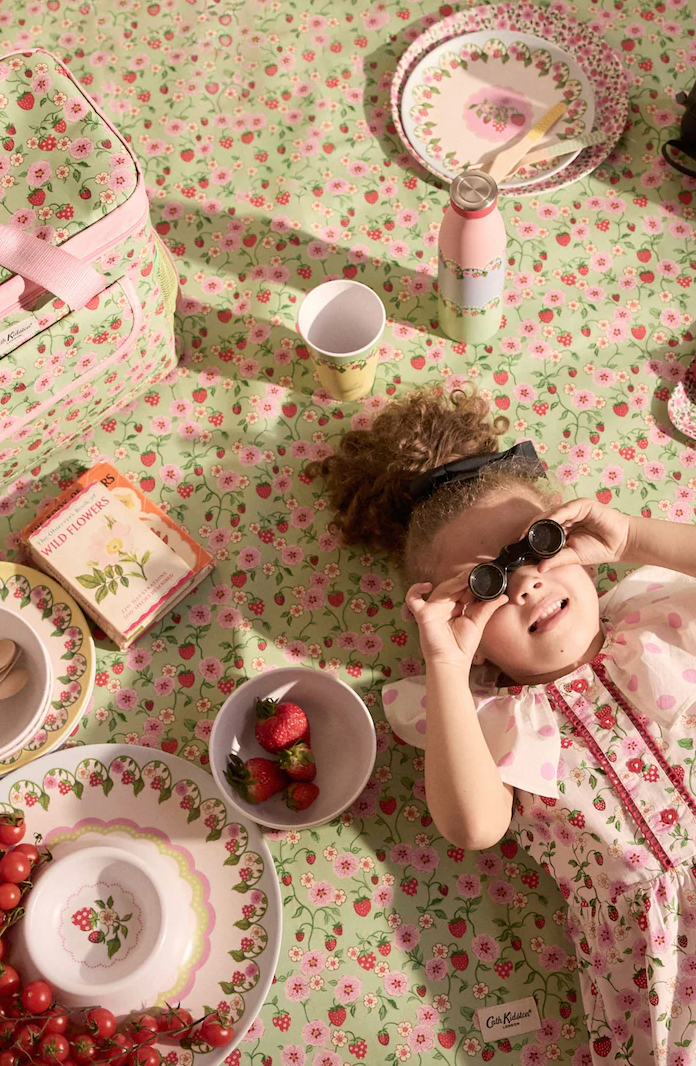 Cath Kidson Strawberry Melamine Picnic Side Plates ( Set Of 4)