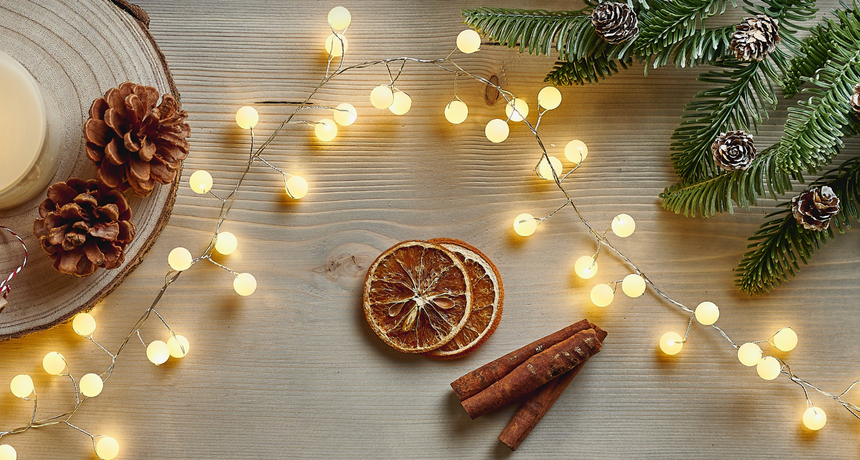 Snowberry LED Fairy Lights,White (Battery Operated)