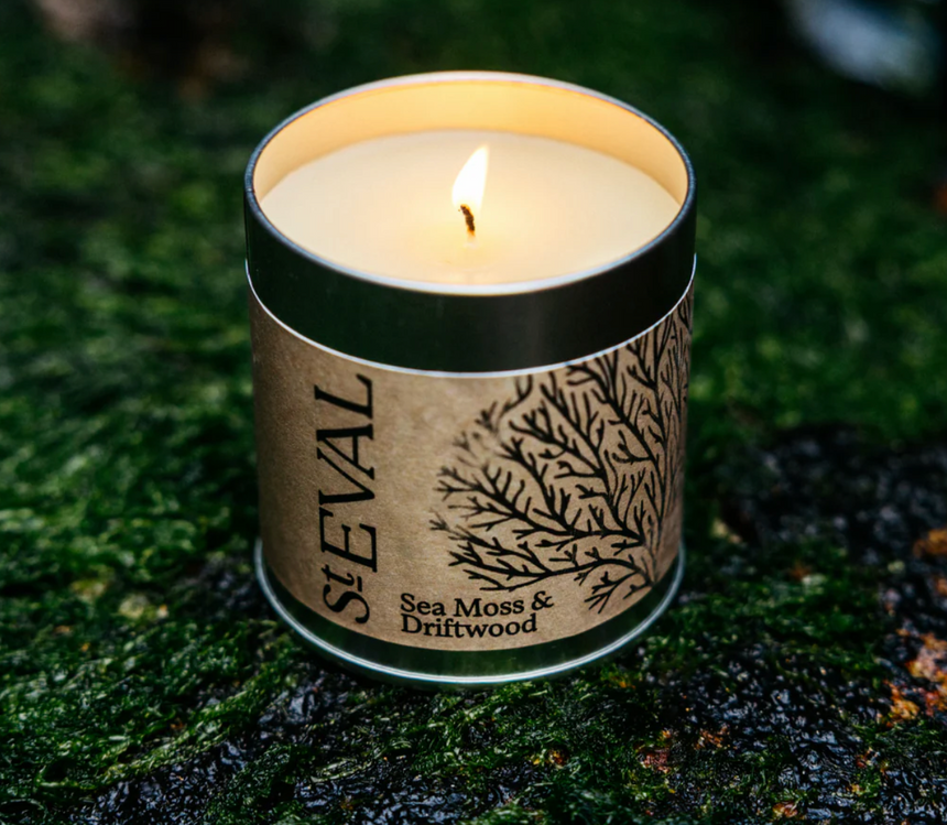 St Eval Sea Moss & Driftwood  Scented Tin Candle