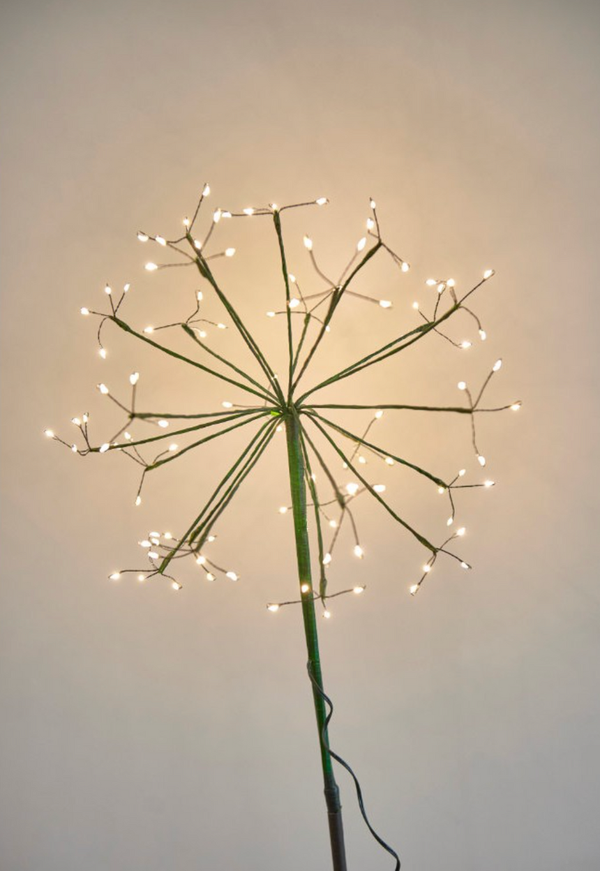 Solar Powered LED Dandelion Light, Green