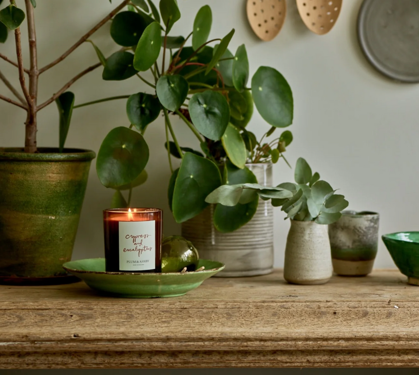 Plum & Ashby Large Scented Candle, Cypress & Eucalyptus
