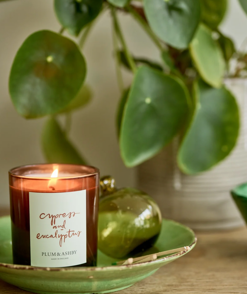 Plum & Ashby Large Scented Candle, Cypress & Eucalyptus