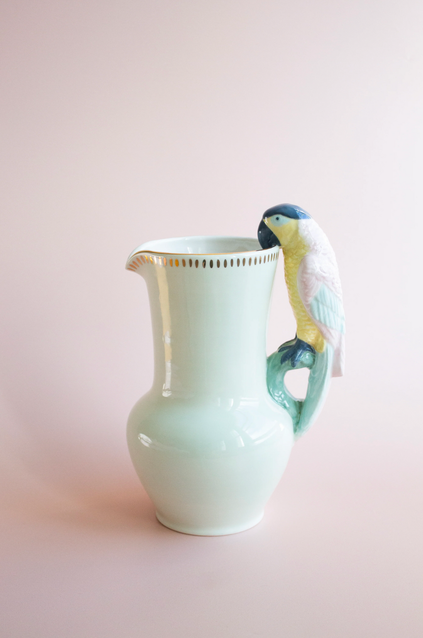 Yvonne Ellen Ceramic Parrot Jug